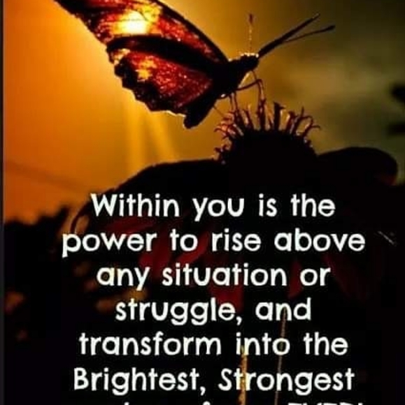 Meet your Posher, Tracy - Picture 2 of 2